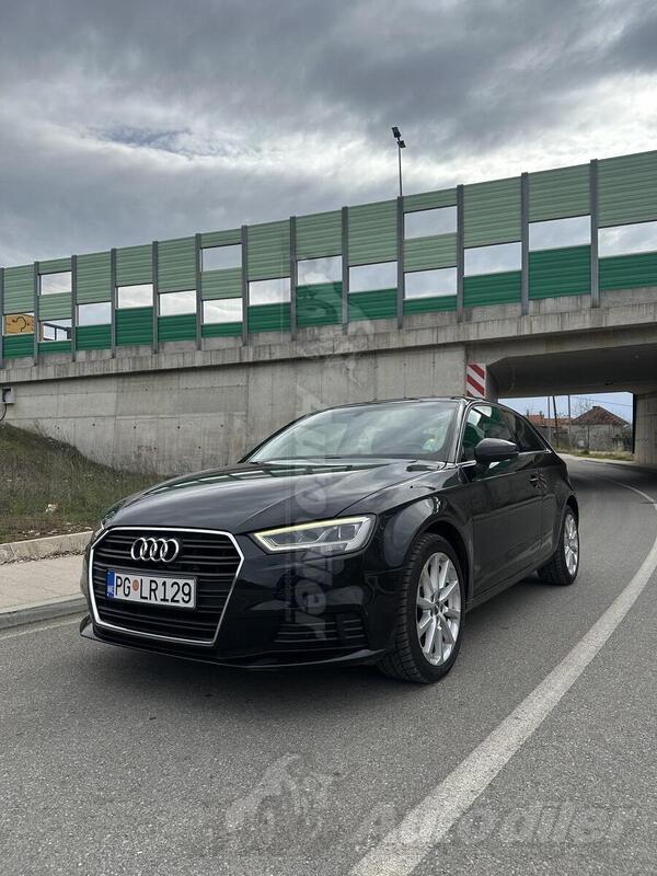 Audi - A3 - 1.6 TDI 81kw