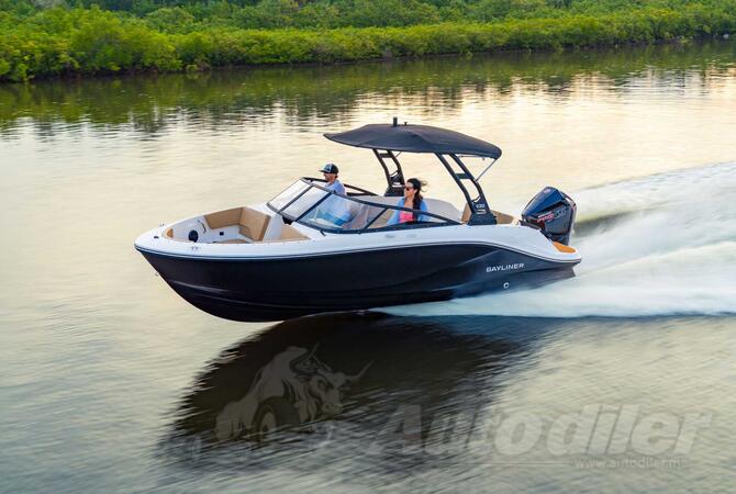 Bayliner - V20