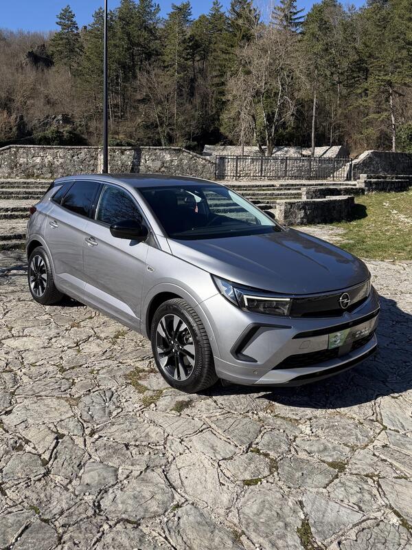 Opel - Grandland - ELEGANCE BUSINESS