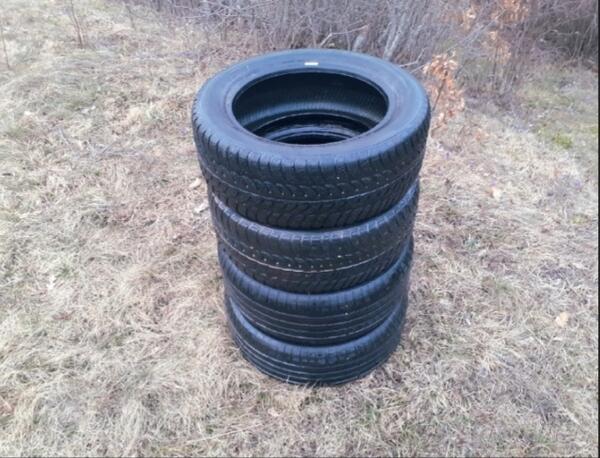 Sava - / - Zimska guma