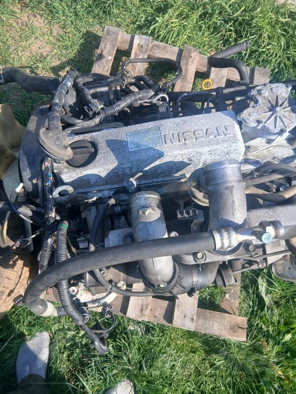 Motor za Automobile - Nissan - Patrol    - 2000