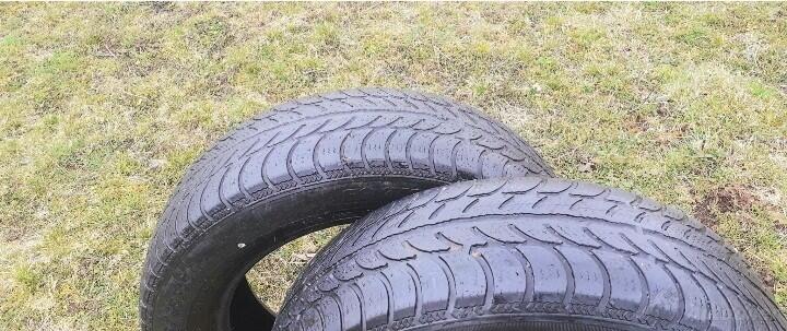 Sava - zimske - Zimska guma