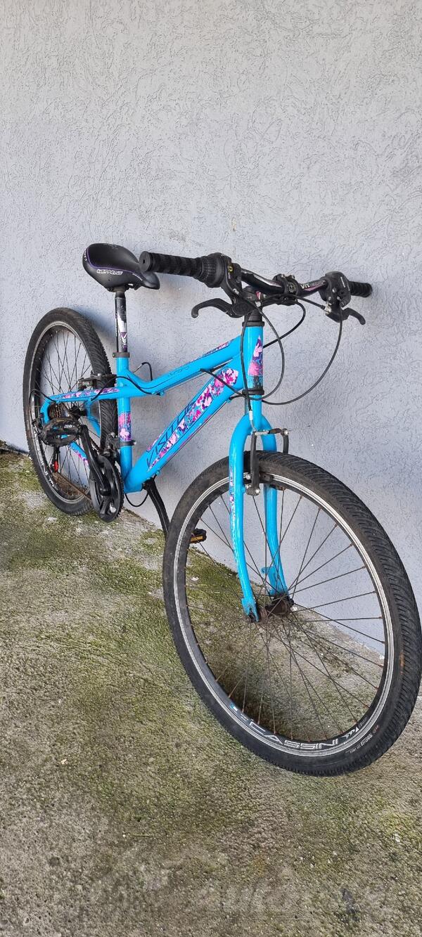 Ostalo - VISITOR  AURORA