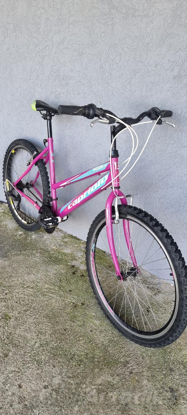 Capriolo - PASSION LADY