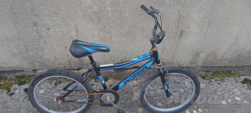 Capriolo - adria rocker 20