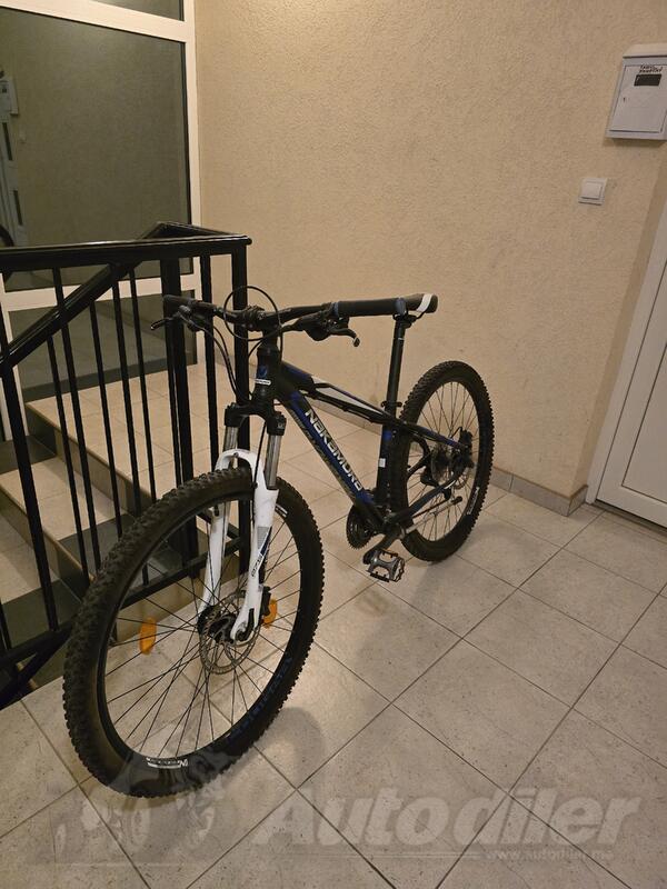 Nakamura - cougar 50