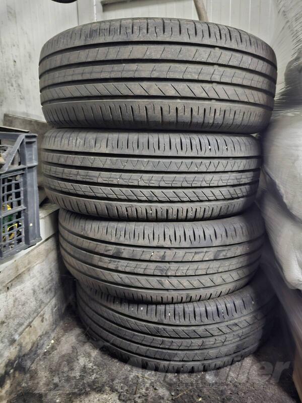 Barum - XXX - Ljetnja guma