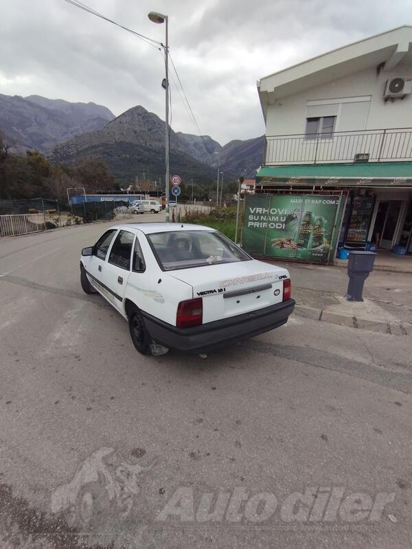Opel - Vectra - 1.6
