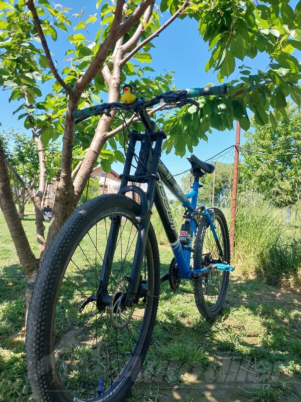 Scout - MTB