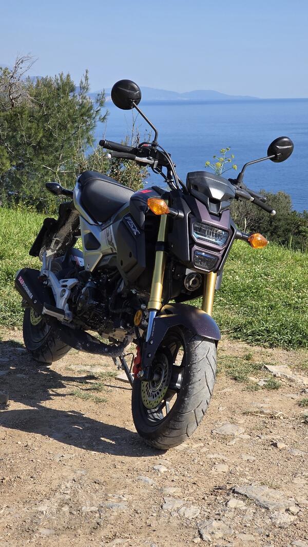 Honda - Grom (MSX 125 sf)