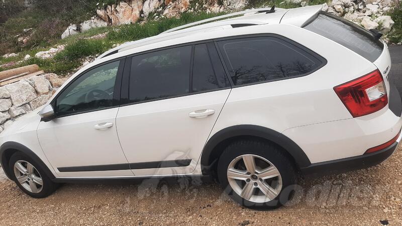 Škoda - Octavia - scaut