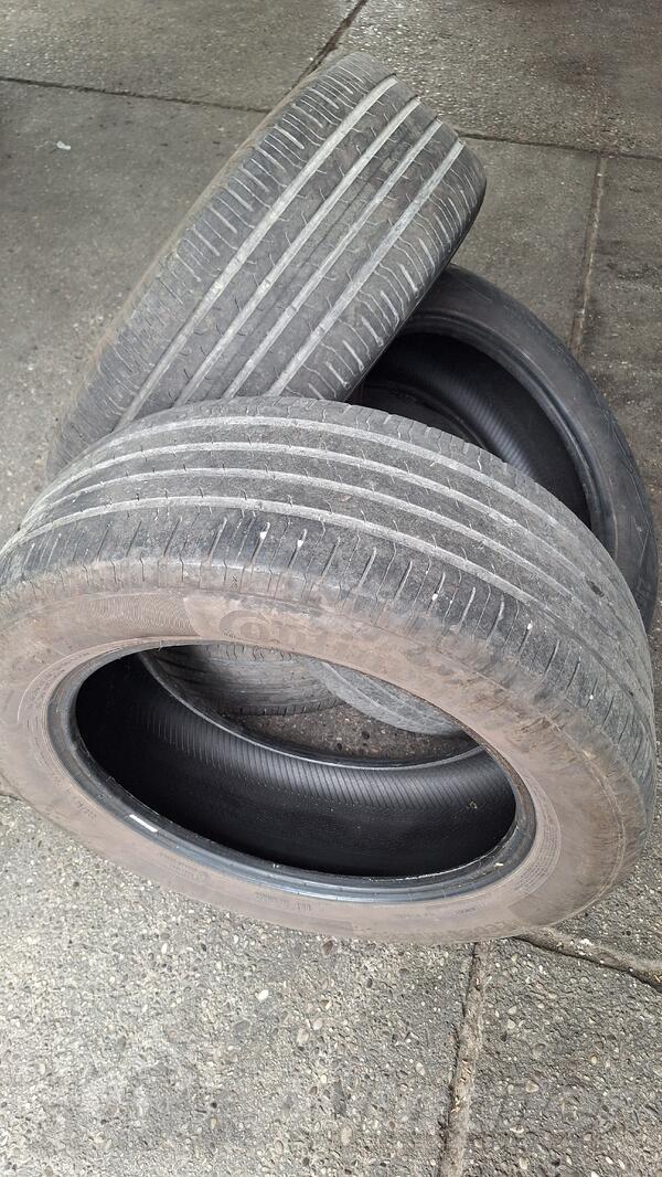 Continental - Eco Contact 6 - Летняя guma