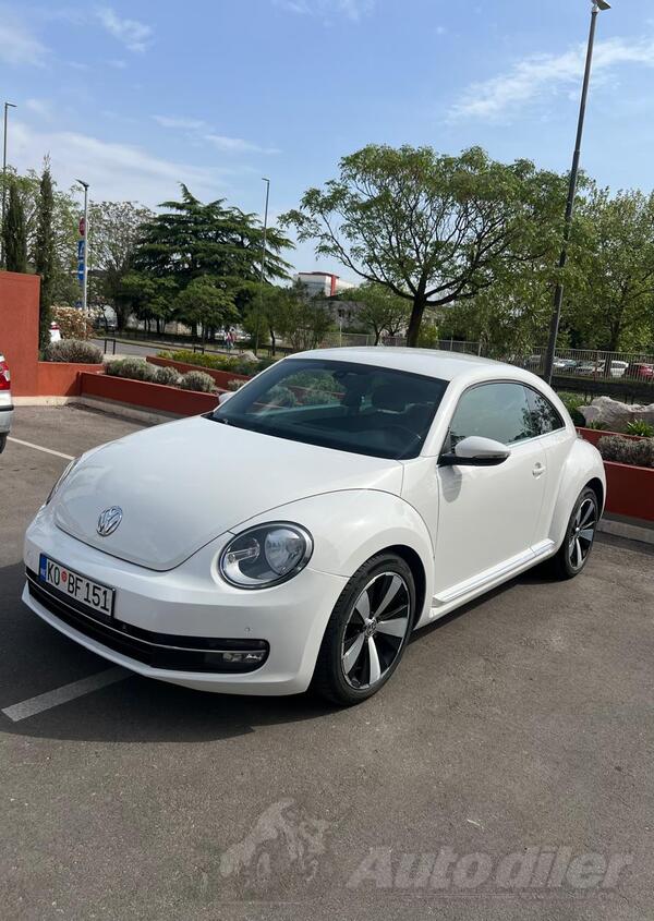 Volkswagen - New Beetle - 1.6 TDI