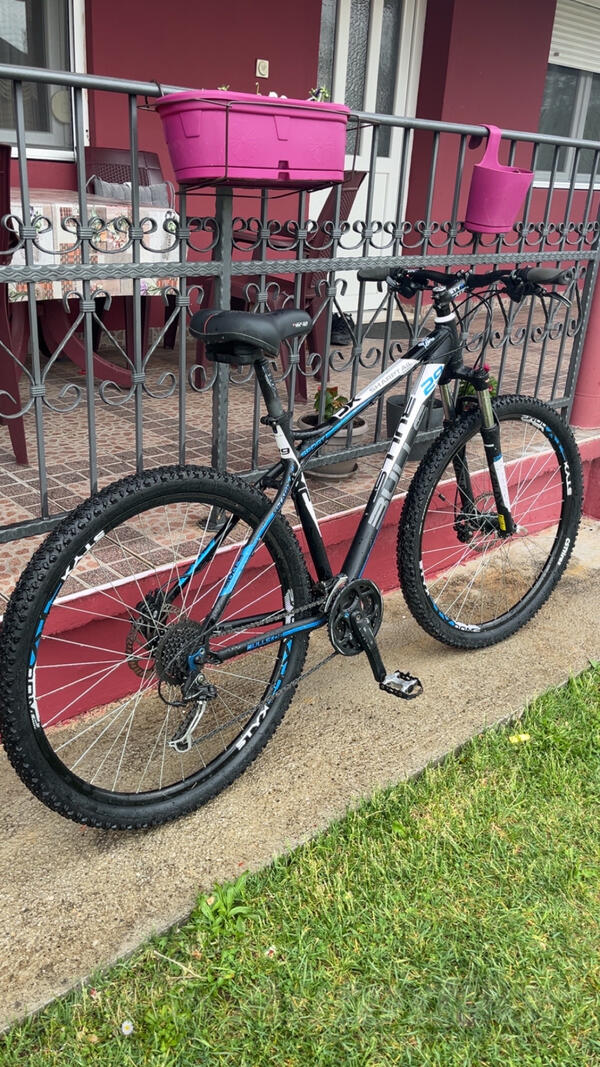 Bulls - Bulls Shartptail 2 Disc 29