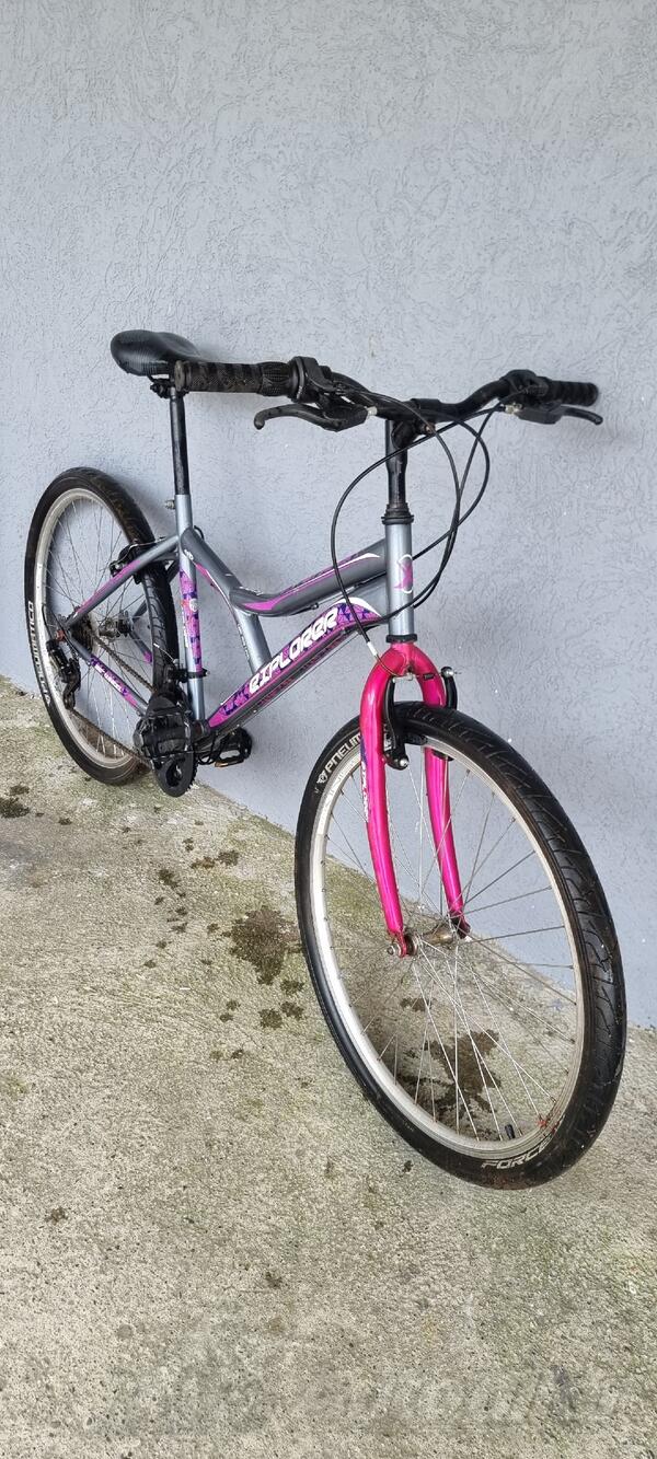 Ostalo - EXPLORER DAISY