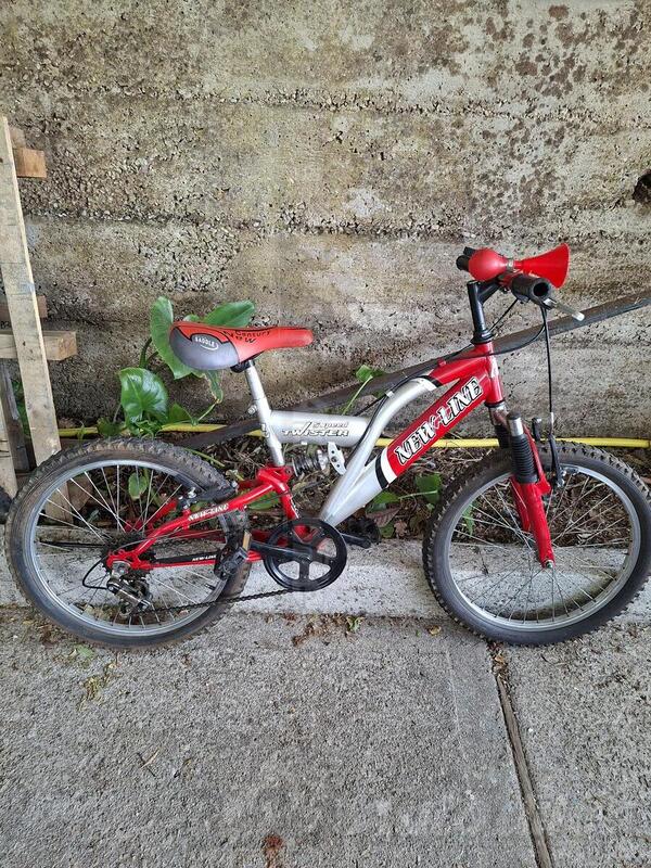 Capriolo - 20
