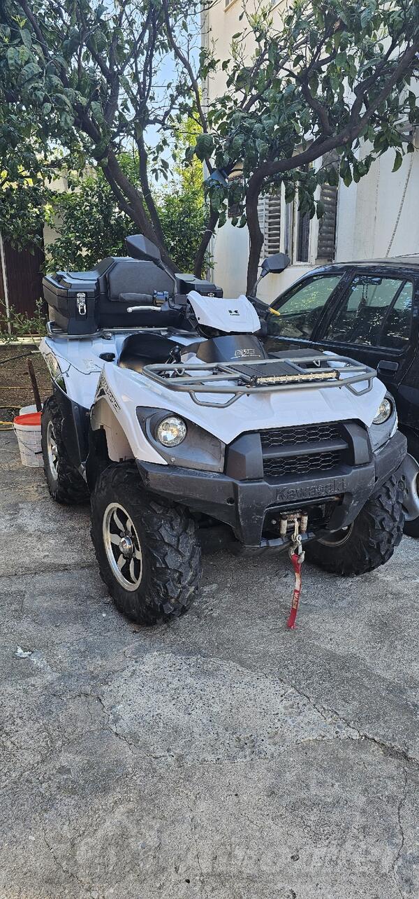 Kawasaki - Brute Force 750