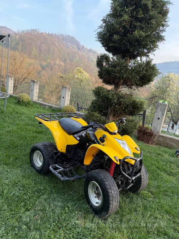 Kymco - Kymco kxr250