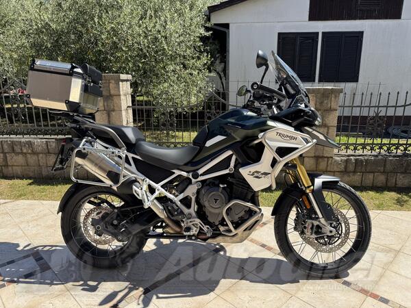 Triumph - Tiger Rally Pro