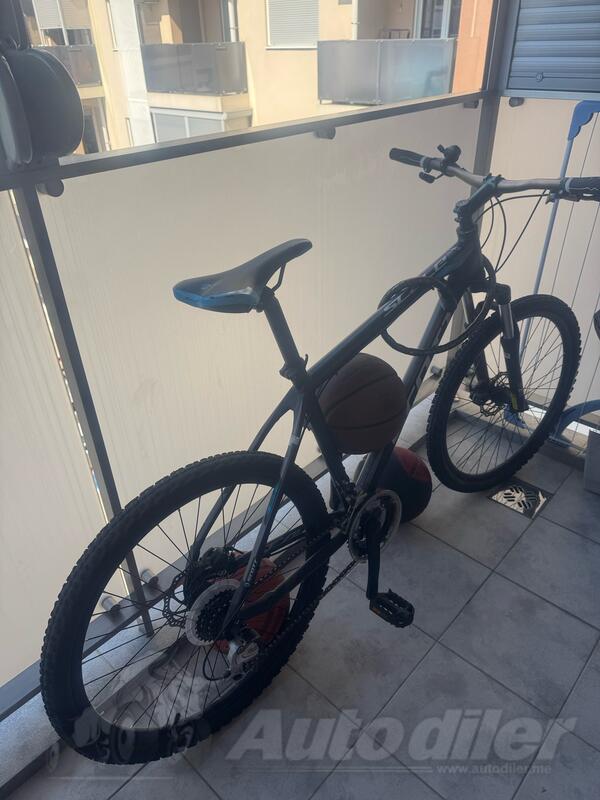 Scott - scott scale 640