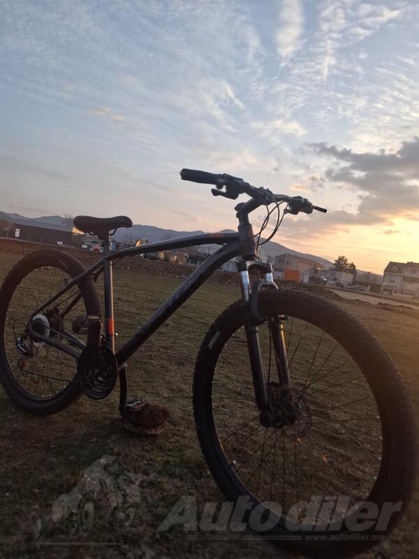 Specialized - Visitor cascade 29