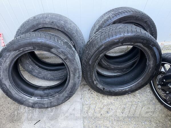 Barum - Polaris 5 - Univerzalna guma