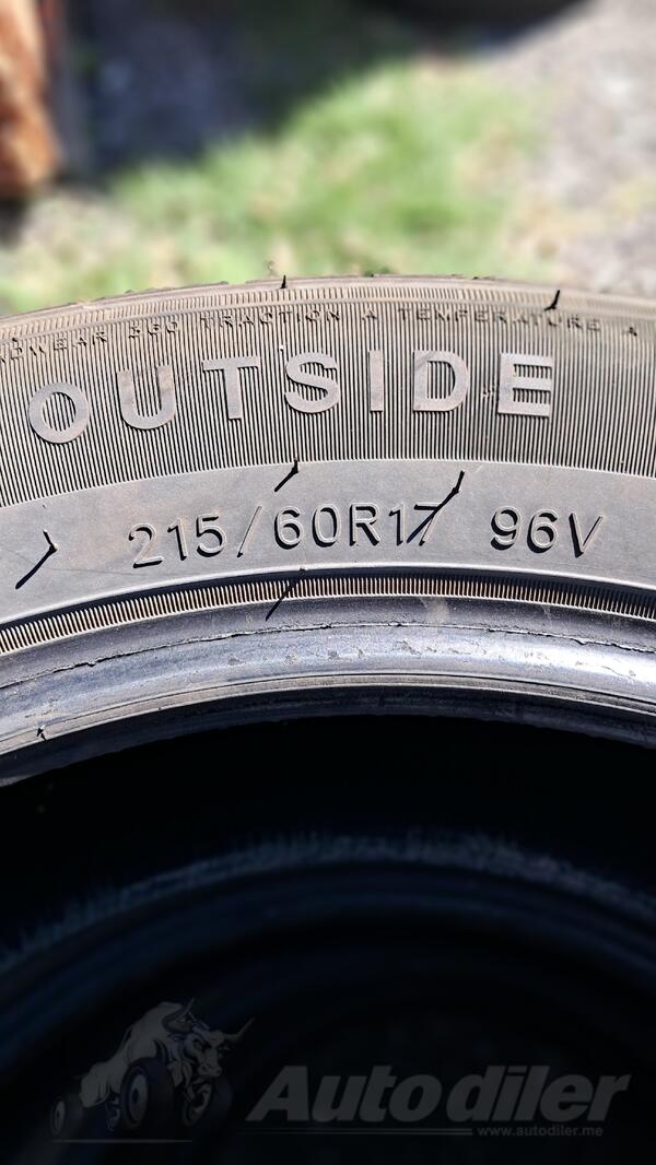 Sailun - atrezzo - Ljetnja guma