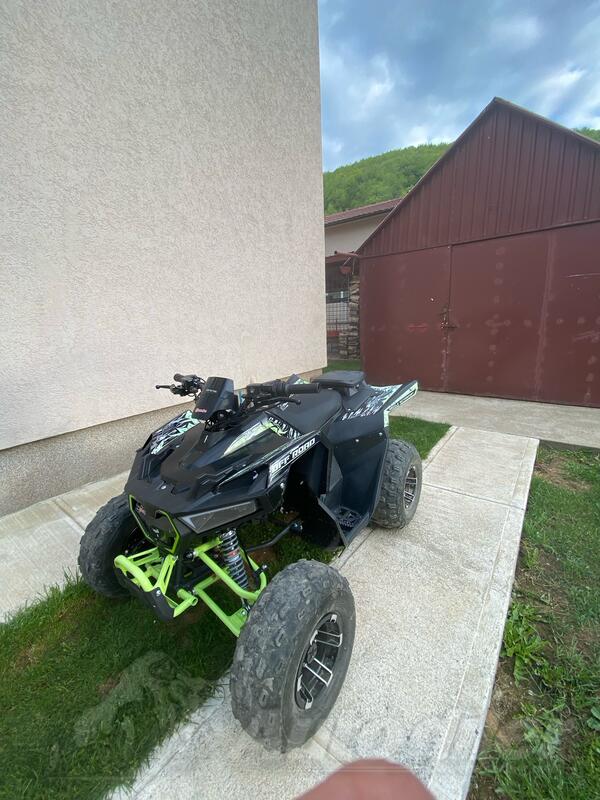 Arctic Cat - AFF Dazzle
