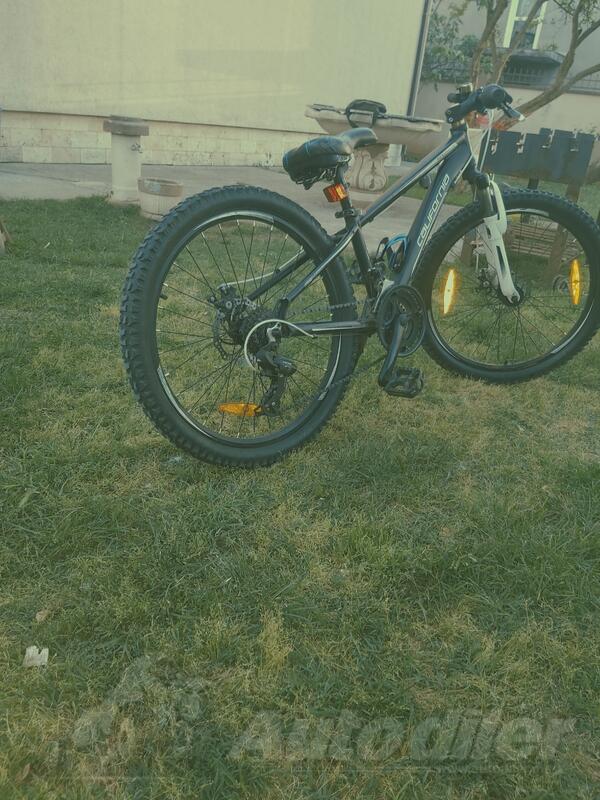 City Bike - California