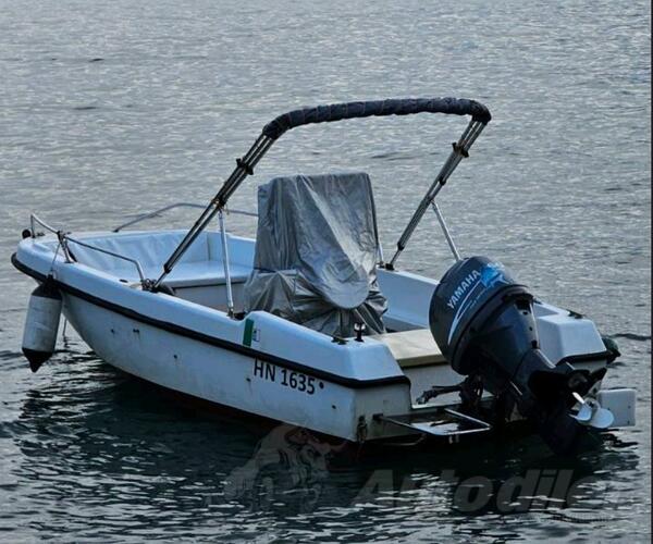 Sessa marine - 495