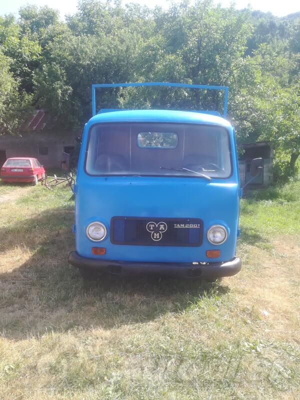 TAM - 2001