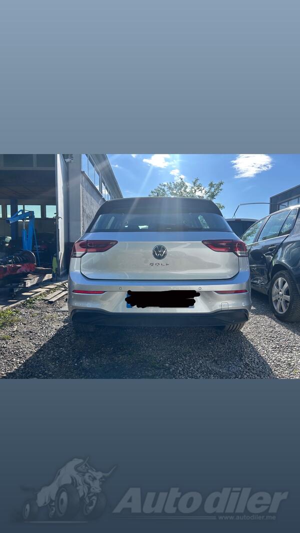 Branik za Golf 8 god. 2022