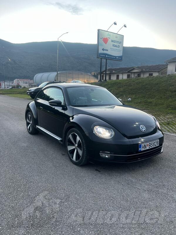 Volkswagen - Beetle - 1.6