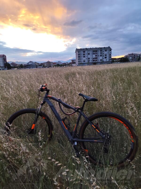 Polar - Mirage sport