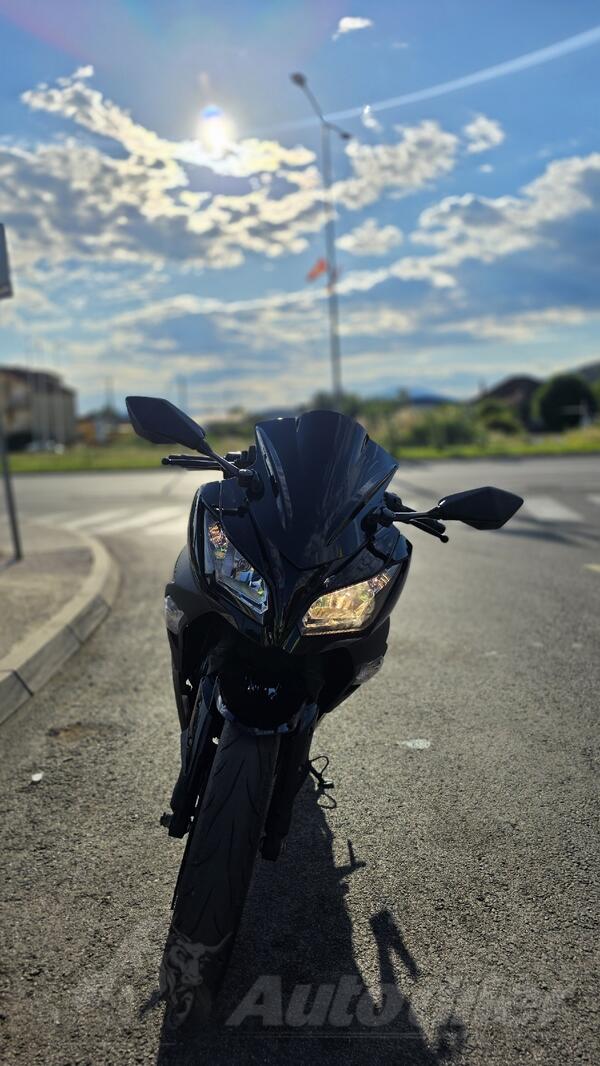 Kawasaki - ZX300R