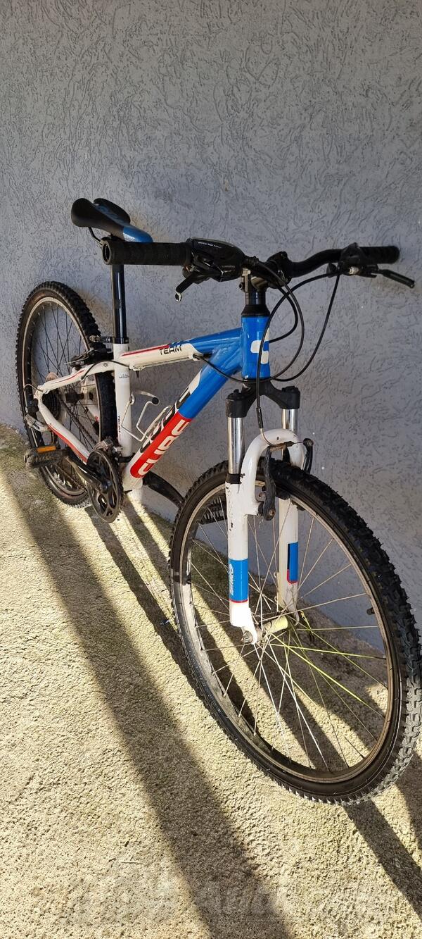 Cube - TEAM 260