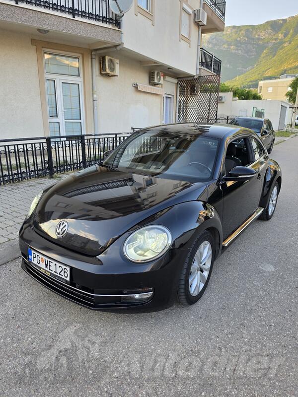Volkswagen - Beetle - 1600
