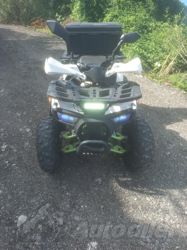 Big Dog - dazzle125