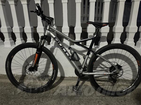 Bulls - Sharptail 3