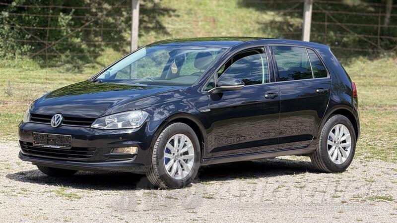 Volkswagen - Golf 7 - 1.6 CUP BLUEMOTION