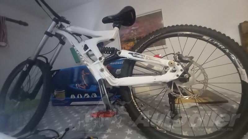 Scott - gambler dh 20