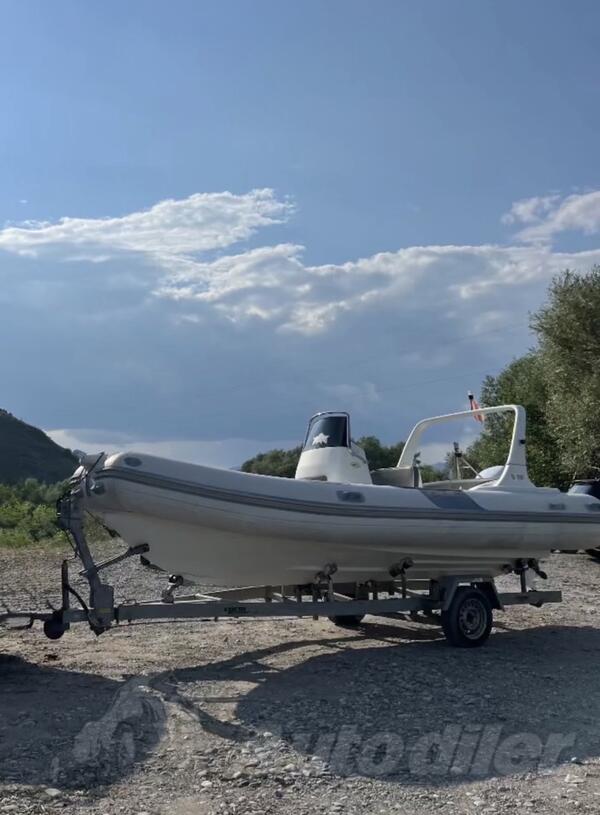 Bat - Bat - 590 pacific