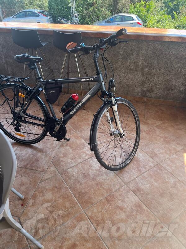Shimano - pegassus