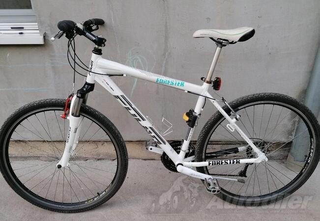 Polar - Forester