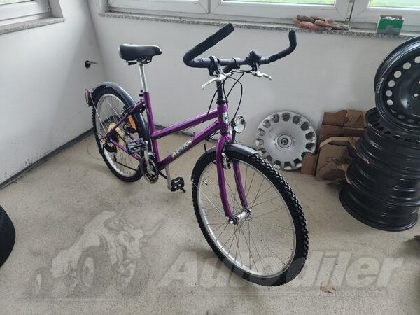 Shimano - master