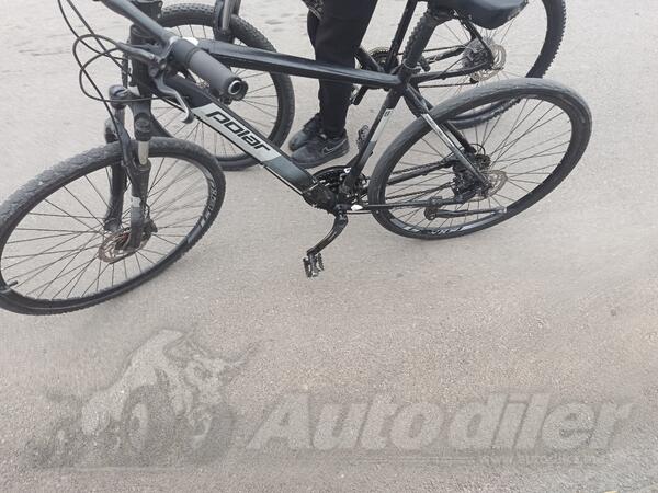 Polar - Forester pro