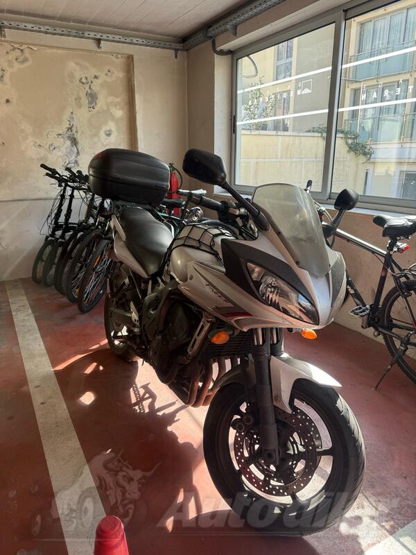 Yamaha - fz6