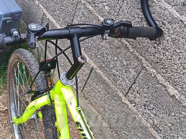City Bike - panda
