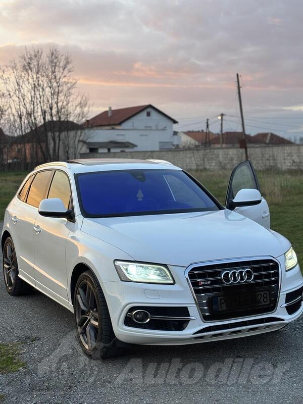 Audi - SQ5 - 3000