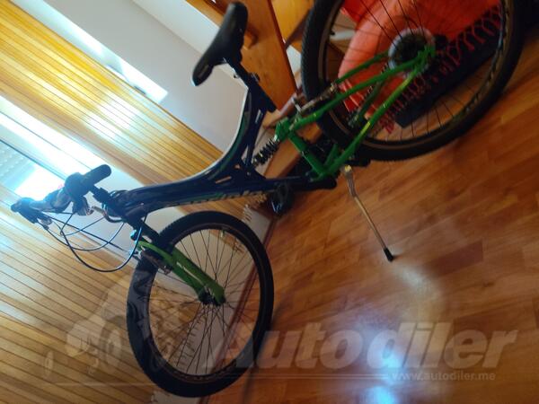 Capriolo - ctx 260